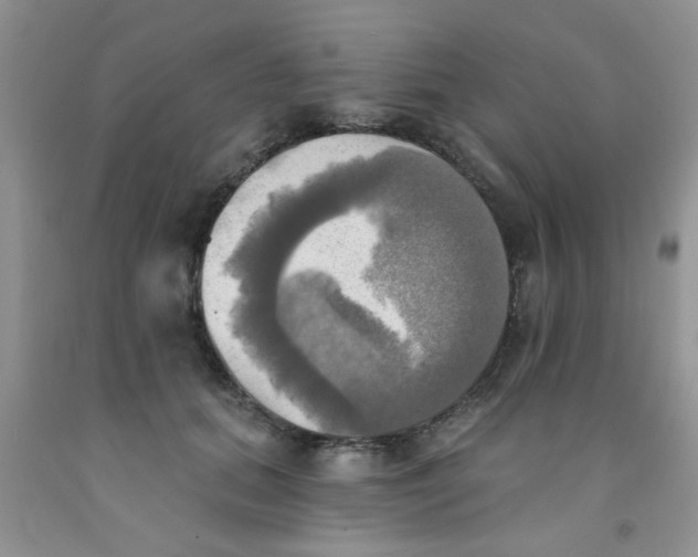 X0000091350655200709071239