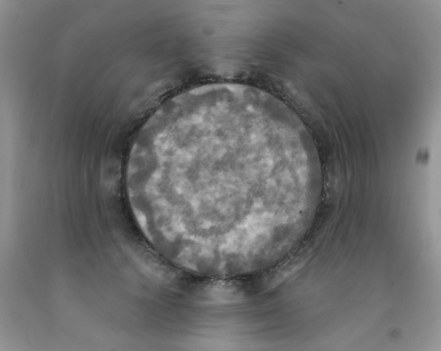 X0000091350656200709071240
