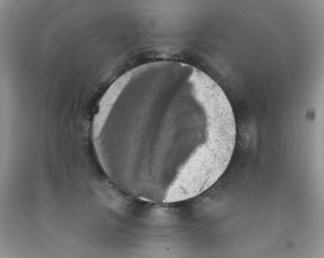 X0000091350657200709071240