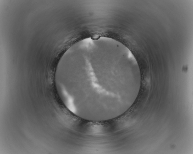 X0000091350658200709071240