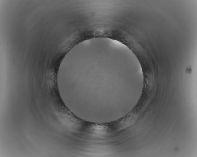 X0000091350659200709071240
