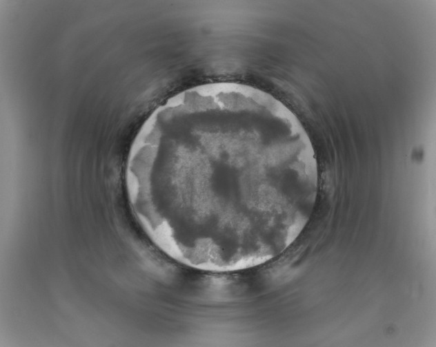 X0000091350662200709071240