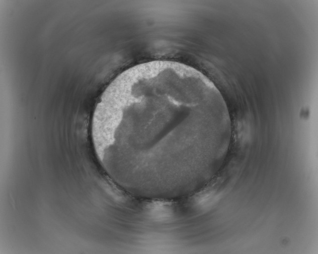 X0000091350664200709071240