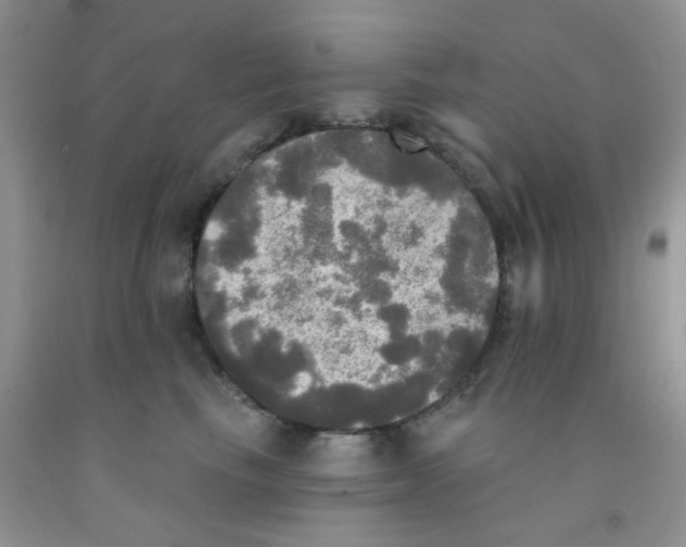 X0000091350665200709071240