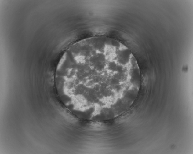 X0000091350666200709071240