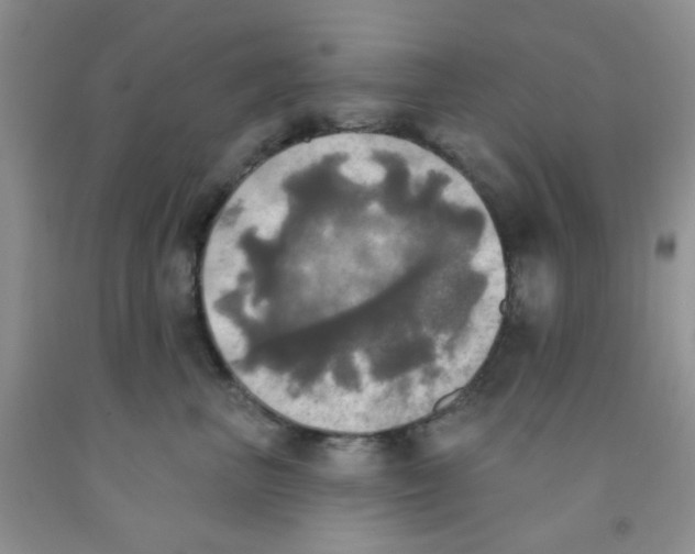 X0000091350667200709071240