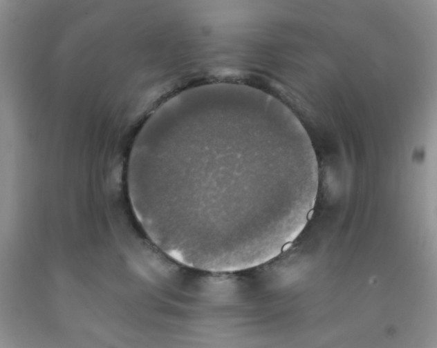 X0000091350668200709071240