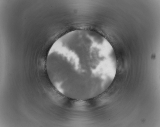 X0000091350669200709071240