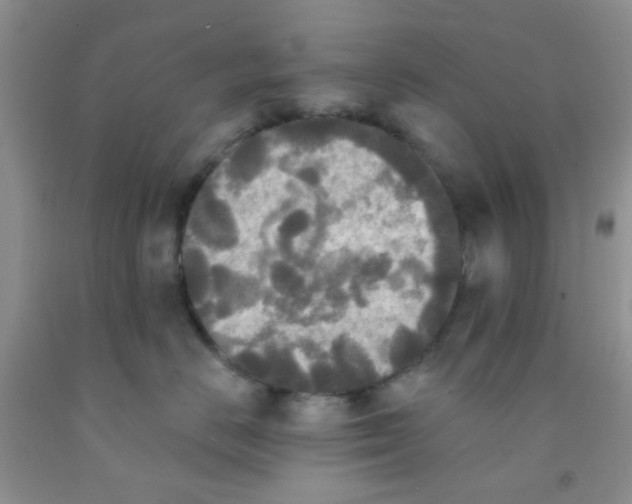 X0000091350670200709071240