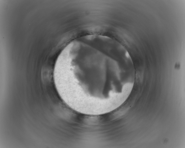 X0000091350671200709071240