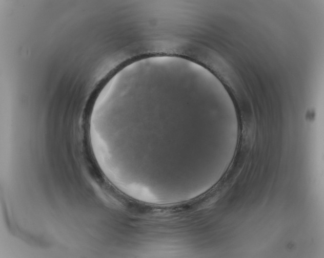 X0000091350674200709071239