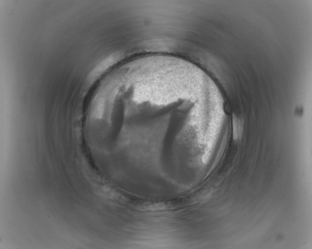 X0000091350675200709071239