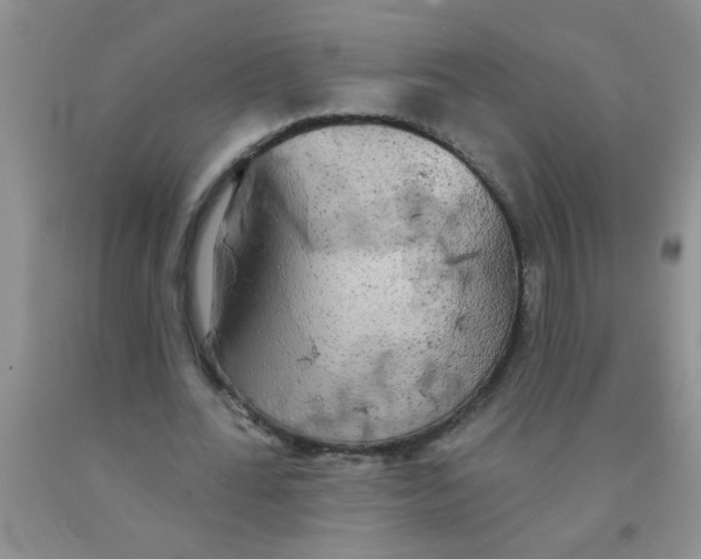 X0000091350676200709071239