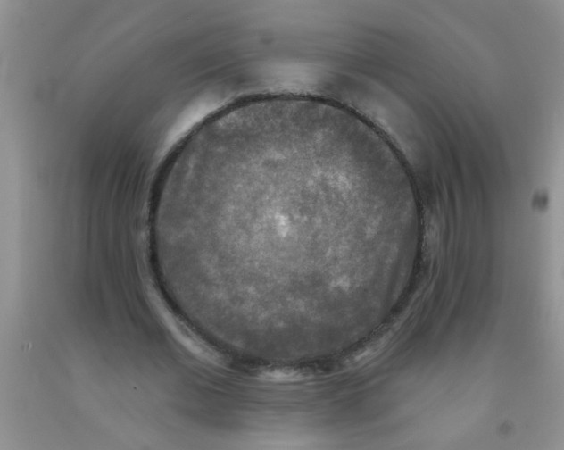 X0000091350677200709071239