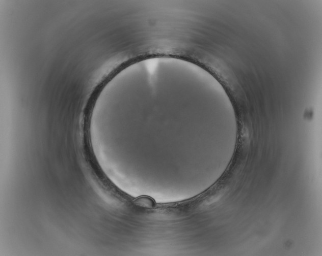 X0000091350678200709071239