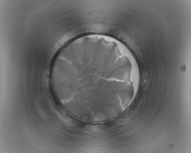 X0000091350679200709071239