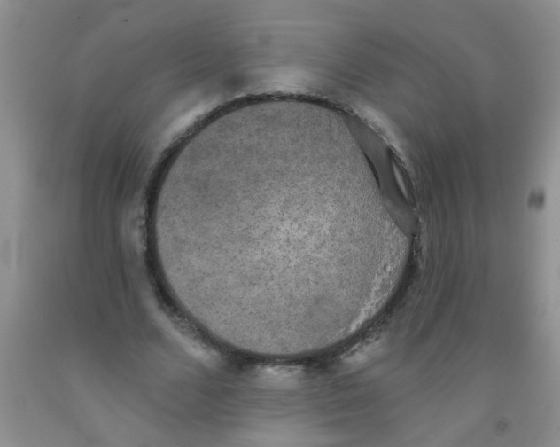 X0000091350680200709071239