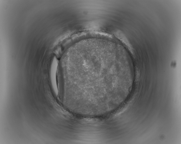 X0000091350681200709071239