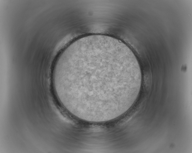 X0000091350682200709071239