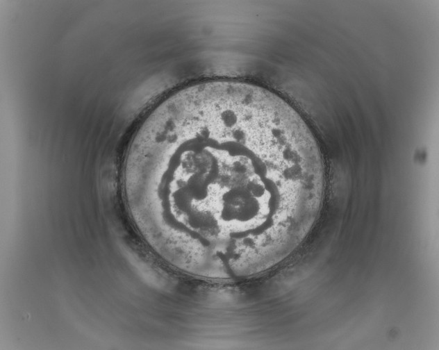 X0000091350683200709071239