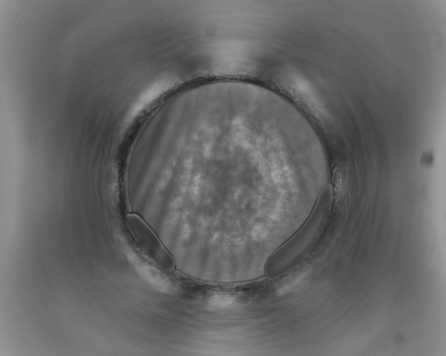 X0000091350684200709071239