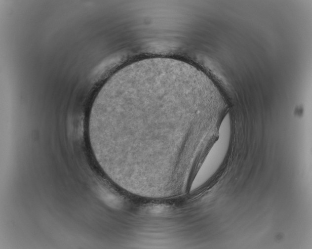 X0000091350685200709071239