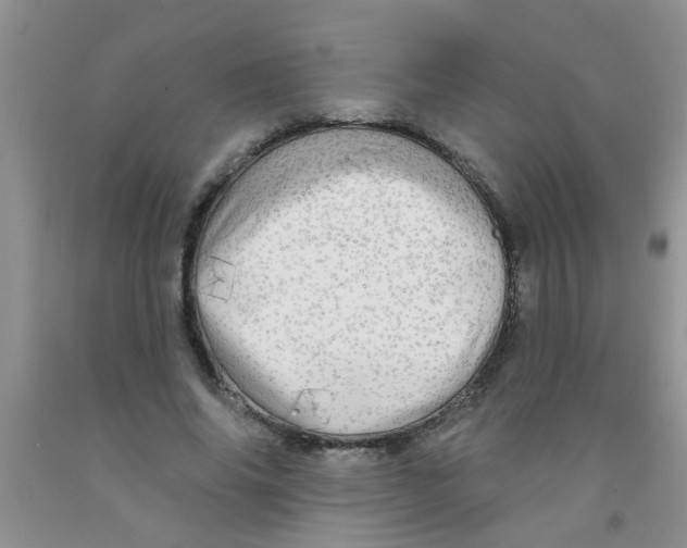 X0000091350686200709071239