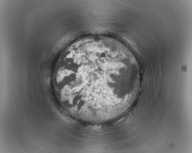 X0000091350687200709071239