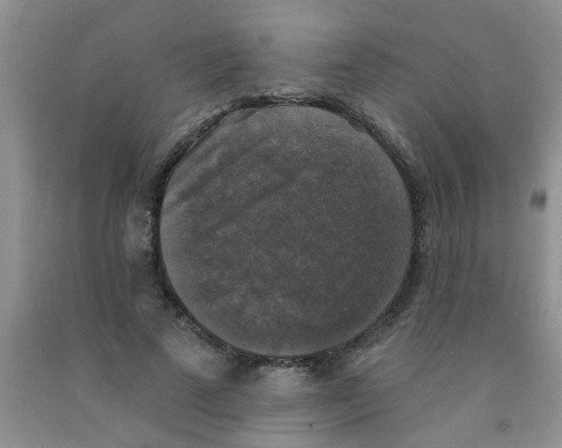X0000091350689200709071239