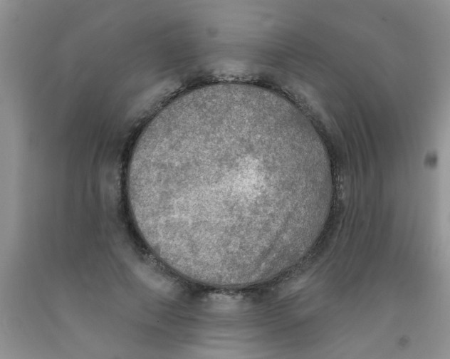 X0000091350690200709071239