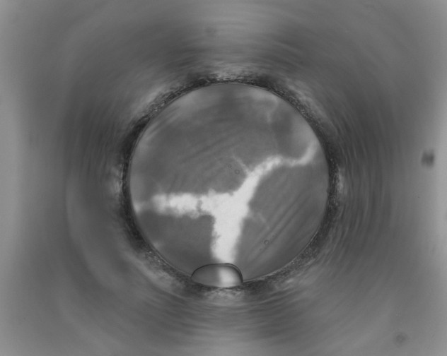 X0000091350691200709071239