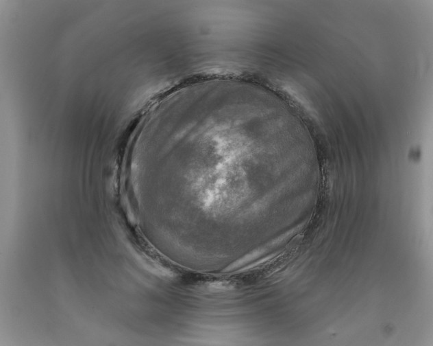 X0000091350692200709071239