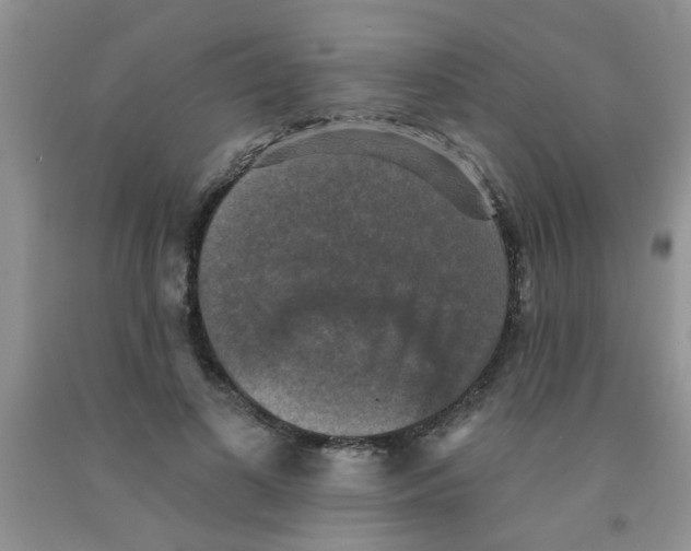 X0000091350693200709071239