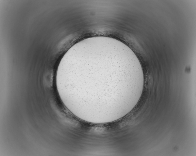 X0000091350694200709071239