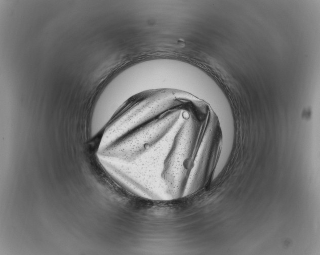 X0000091350696200709071239