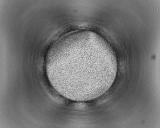 X0000091350698200709071239