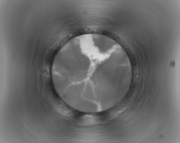 X0000091350699200709071239
