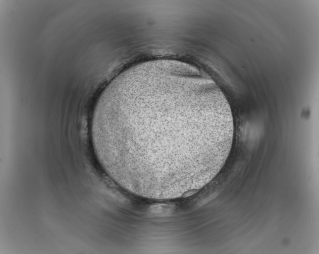 X0000091350700200709071239