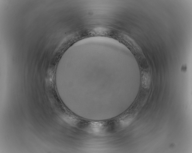 X0000091350701200709071239