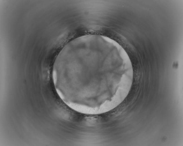 X0000091350703200709071239