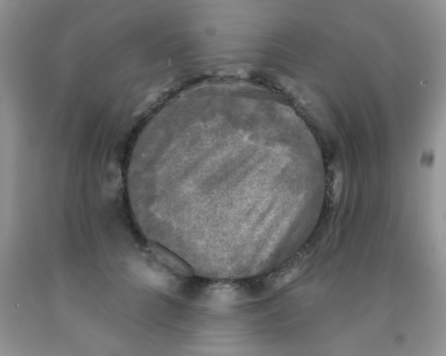 X0000091350704200709071239