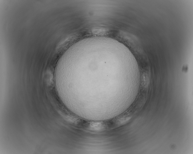 X0000091350705200709071239