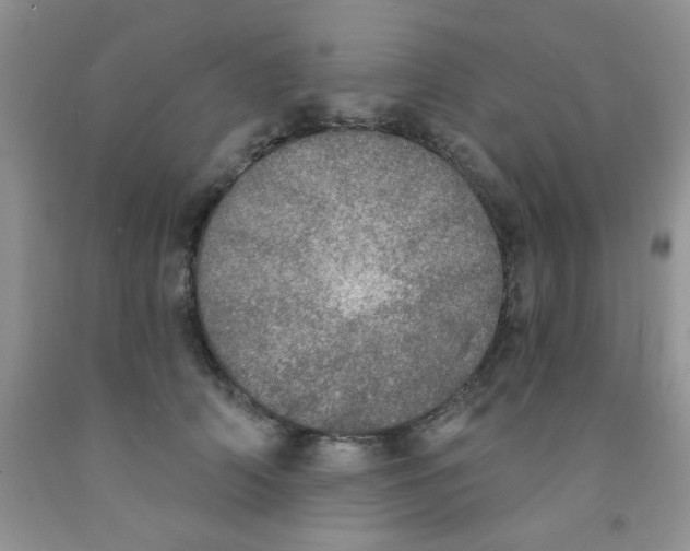X0000091350706200709071239