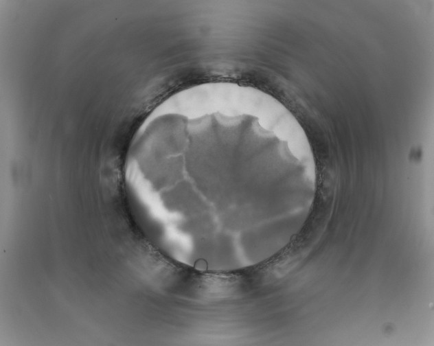 X0000091350707200709071239