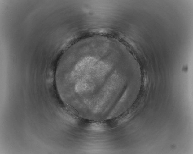 X0000091350708200709071239
