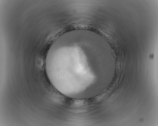X0000091350709200709071239