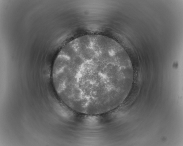X0000091350710200709071238
