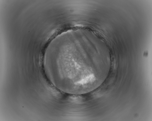 X0000091350712200709071238
