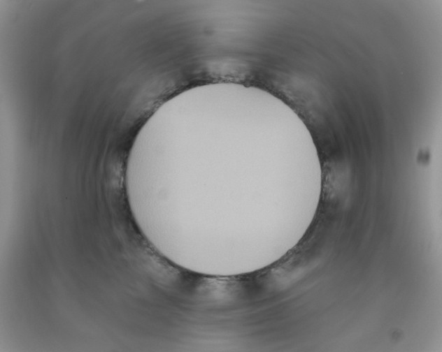 X0000091350713200709071238