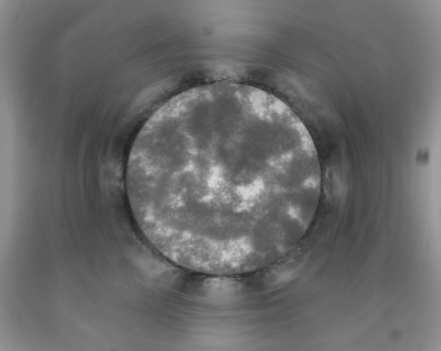 X0000091350714200709071238